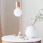 极速电竞
