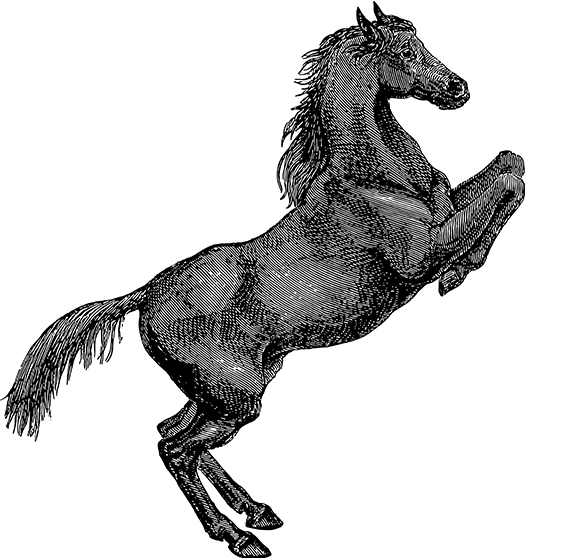 极速电竞