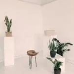 极速电竞